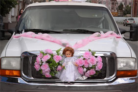 Украшения для свадебного автомобиля  a323 ― Интернет-магазин Свадебных платьев Солодко-разом