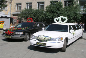 Украшения для свадебного автомобиля  a324 ― Интернет-магазин Свадебных платьев Солодко-разом