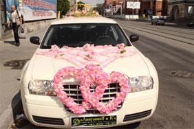 Украшения для свадебного автомобиля  a331 ― Интернет-магазин Свадебных платьев Солодко-разом